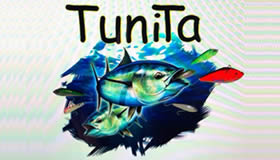 Tunita